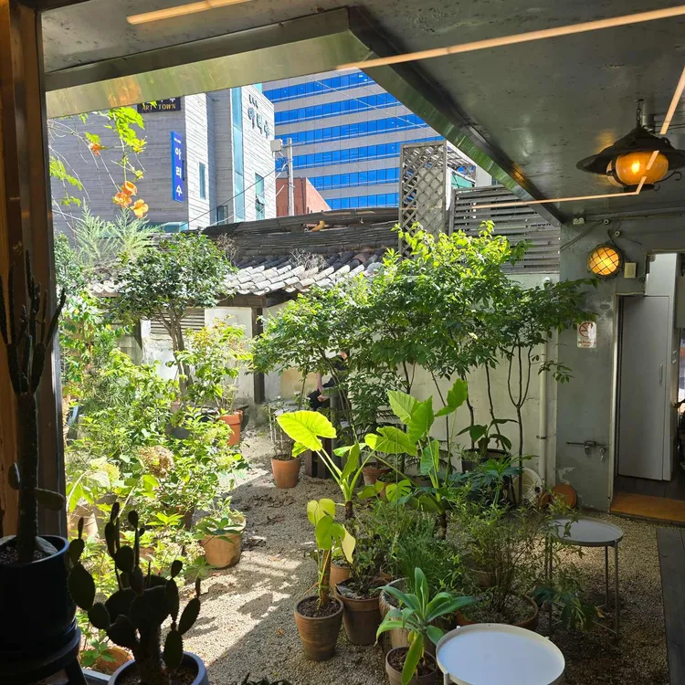 담쟁이집 사진 2
