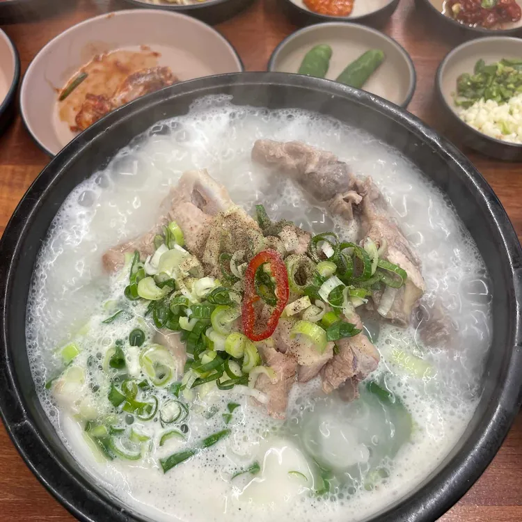 본날 대표 사진