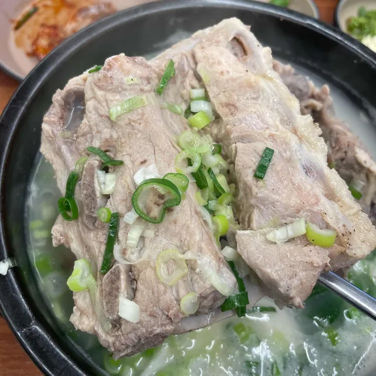 본날 대표 사진