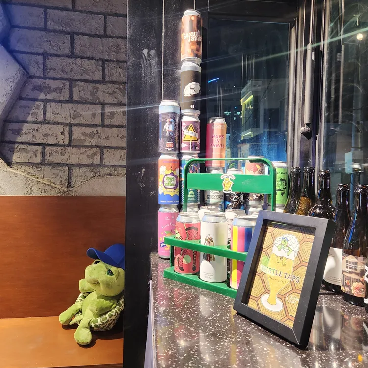 터틀탭스 대표 사진