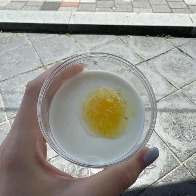 코타 대표 사진