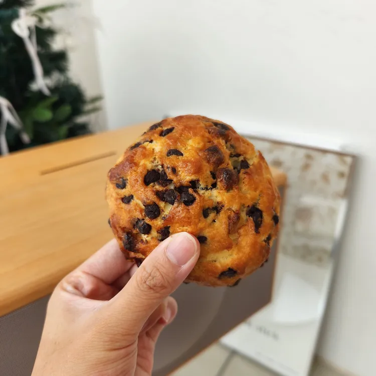 스튜디베이글 대표 사진