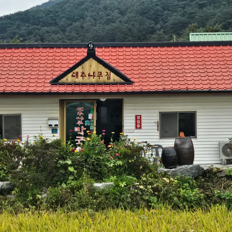 대추나무막국수 대표 사진