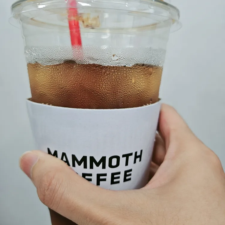 매머드익스프레스 사진 1