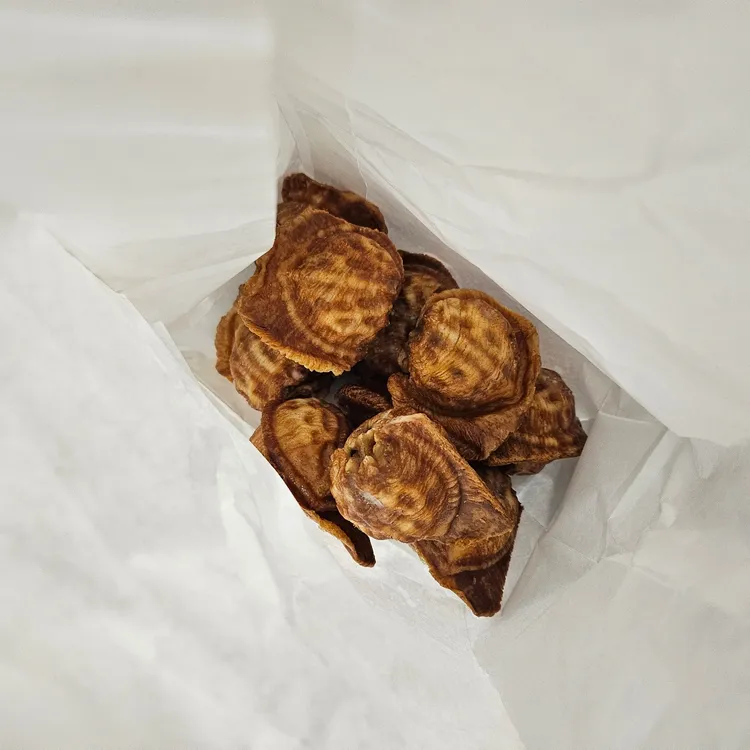 마리웨일237 대표 사진