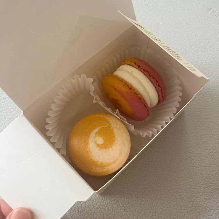 케인슈가 대표 사진