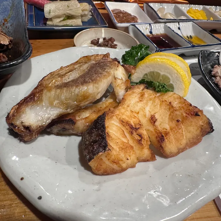 참치 Jo 대표 사진