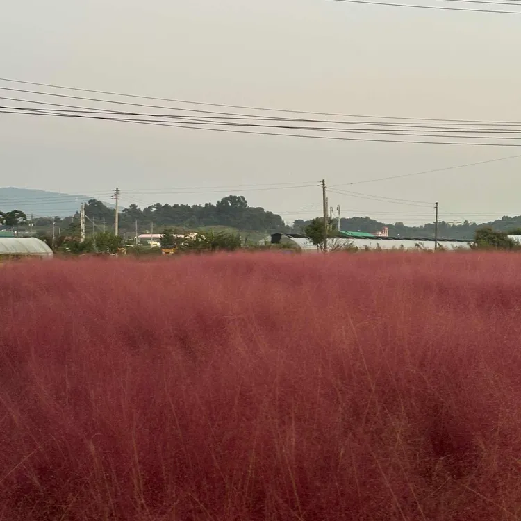 토성마을 대표 사진
