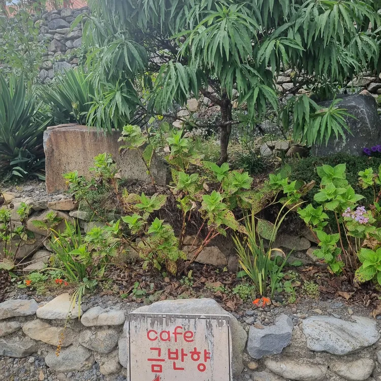금반향 대표 사진