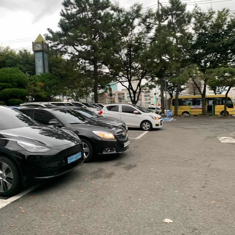 트레비어 대표 사진