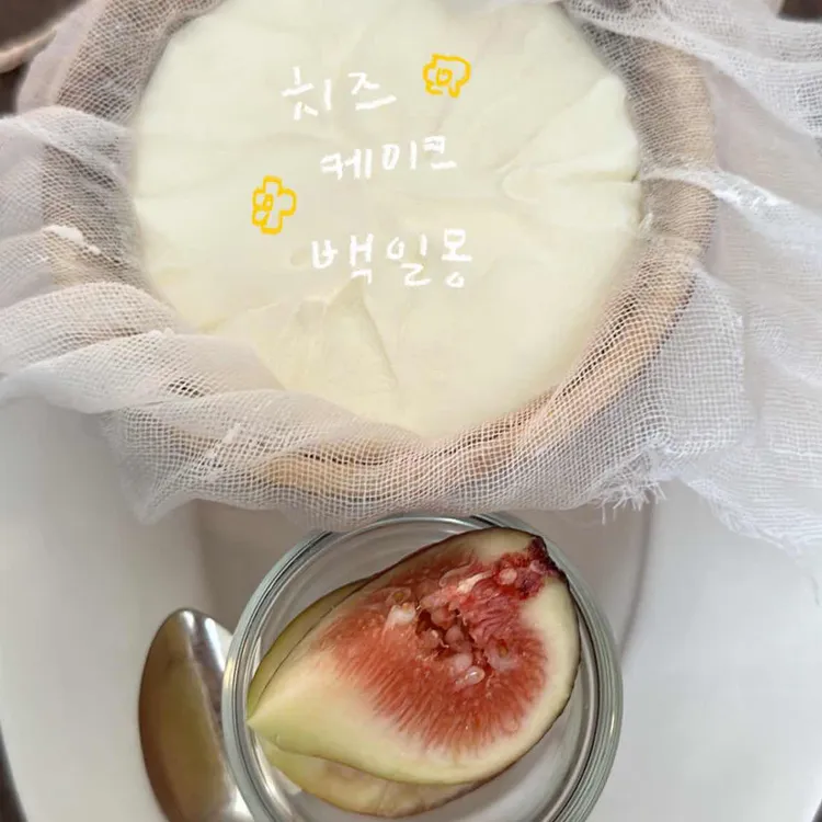 백일몽 대표 사진