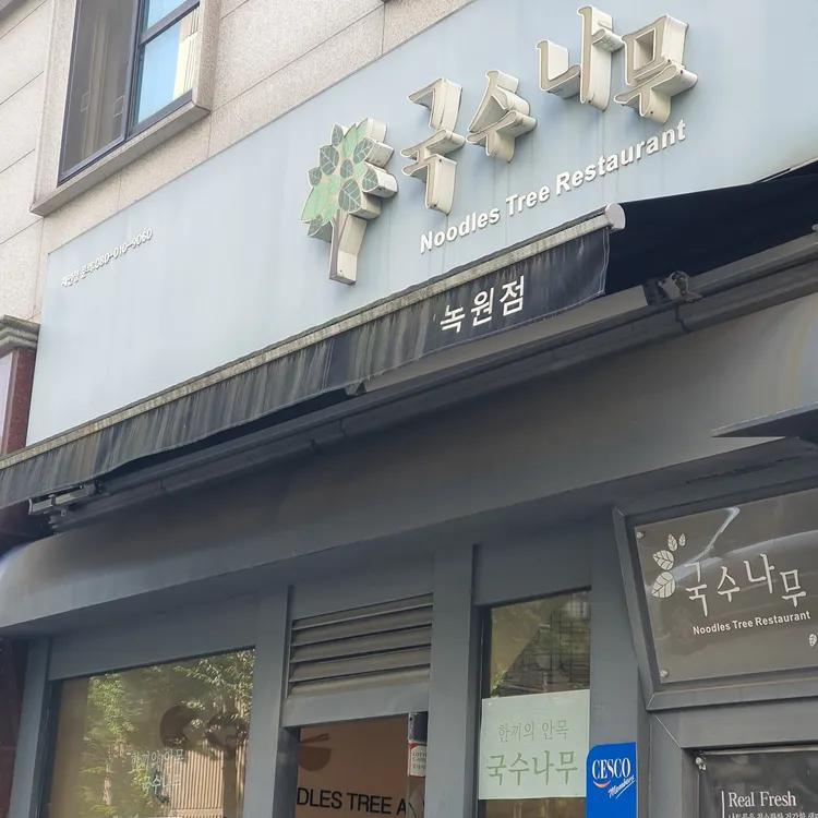 국수나무 대표 사진