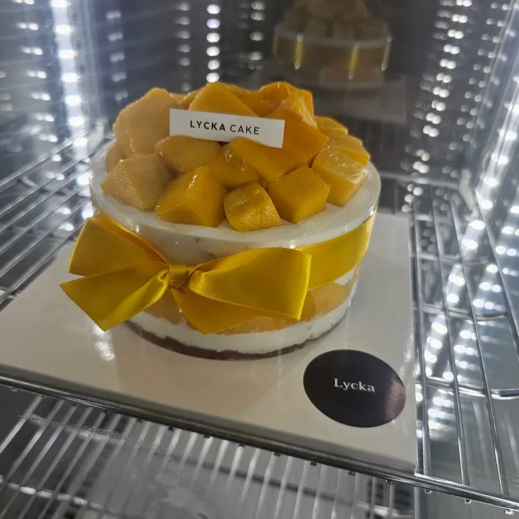 리카 대표 사진