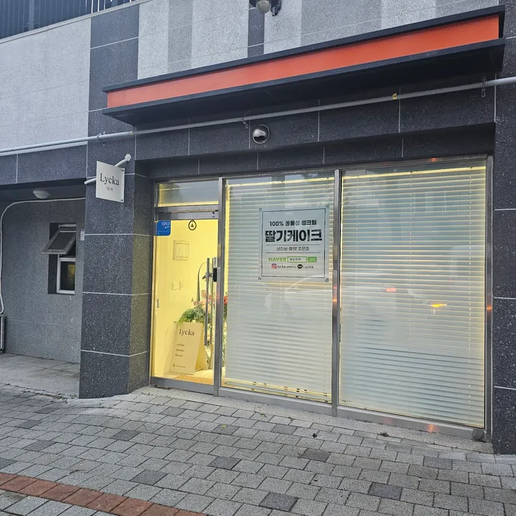 리카 대표 사진