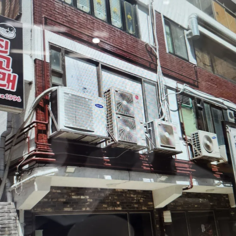 진고래 대표 사진