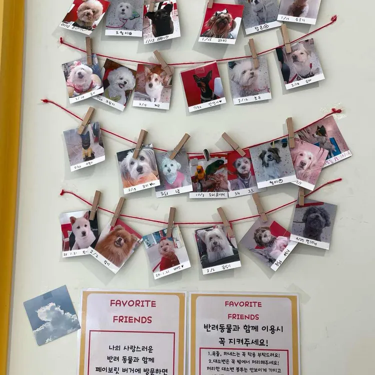페이보릿 버거 대표 사진