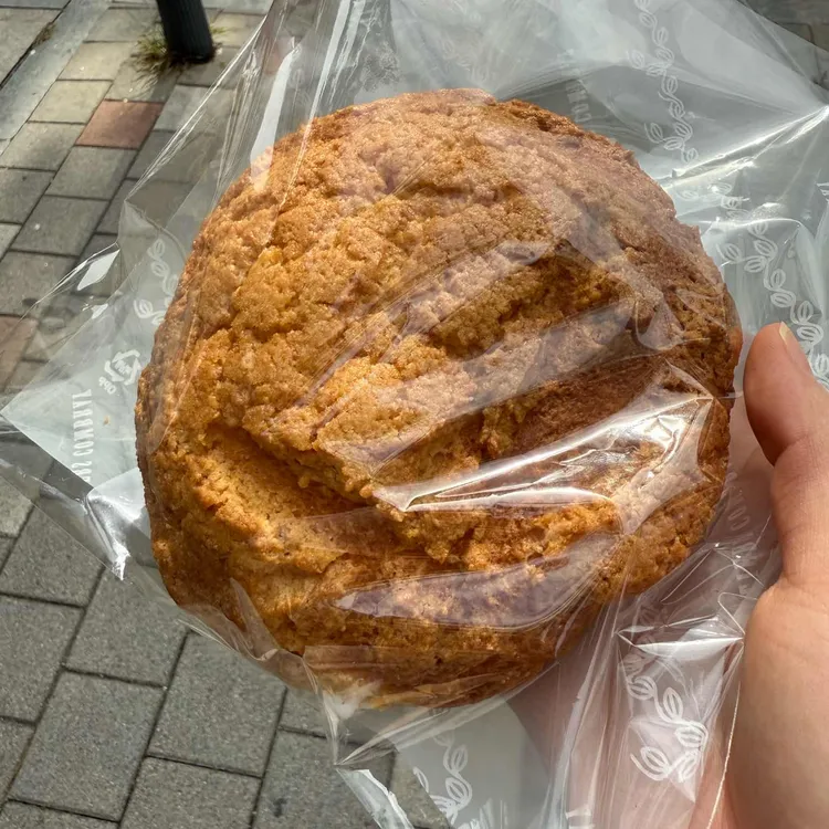일리에 콩브레 대표 사진