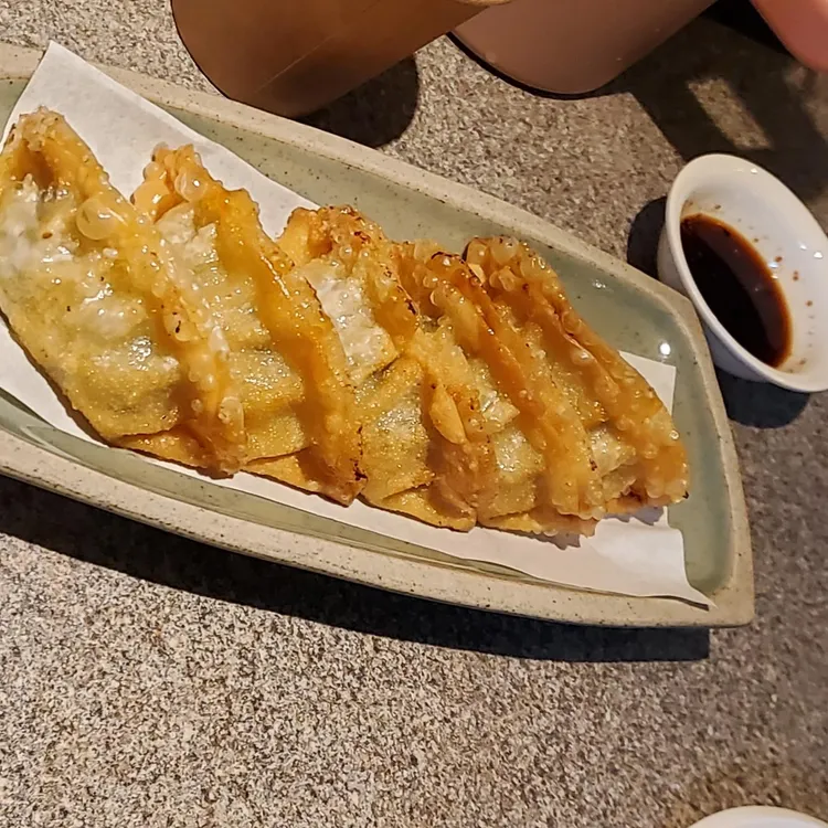 거북이의 꿈 대표 사진
