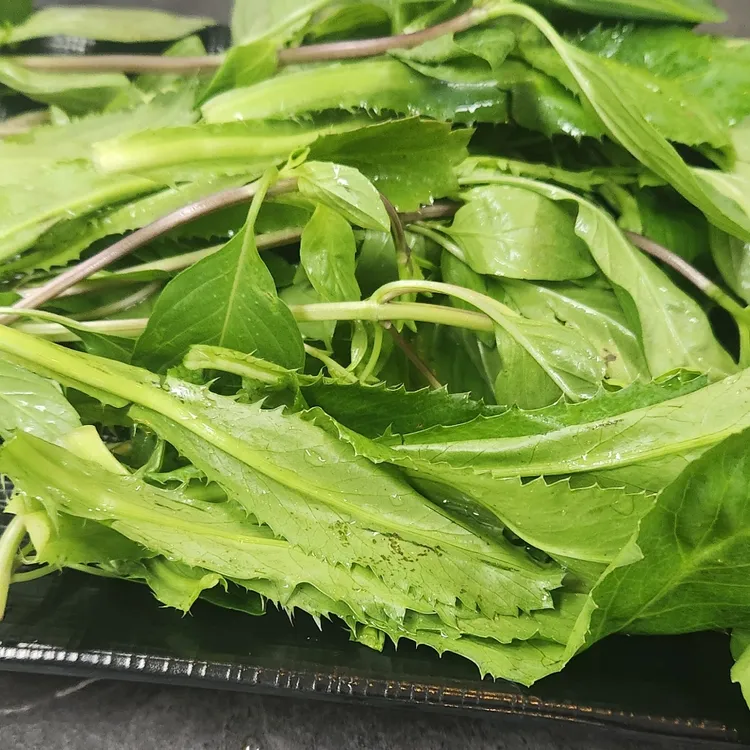 아시아식당 대표 사진