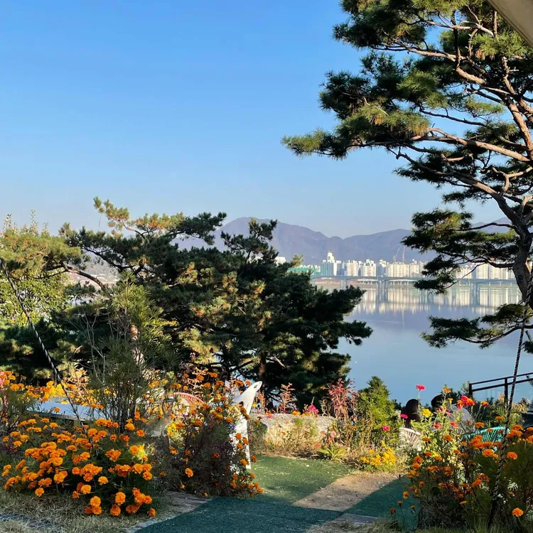 카페 뷰66 대표 사진