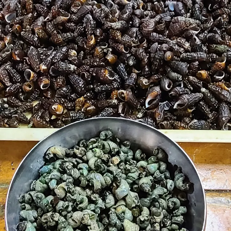 원조동해식당 대표 사진