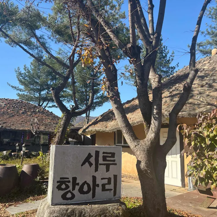 시루항아리 대표 사진
