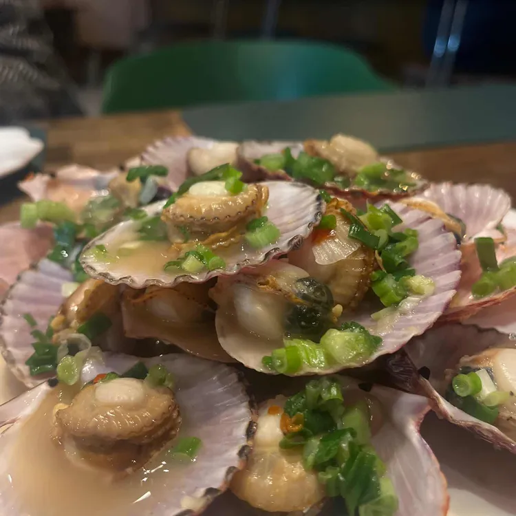 요요네 대표 사진