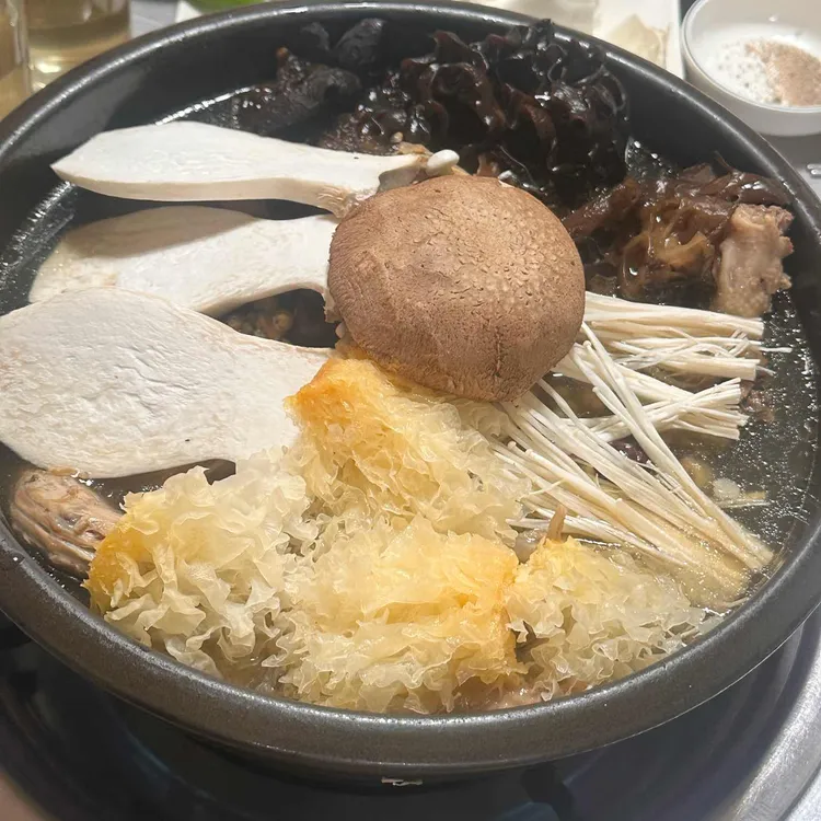황칠나라 대표 사진