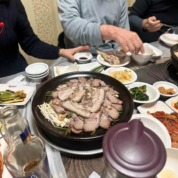 황칠나라 대표 사진