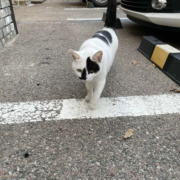 파도바바다풍경 대표 사진