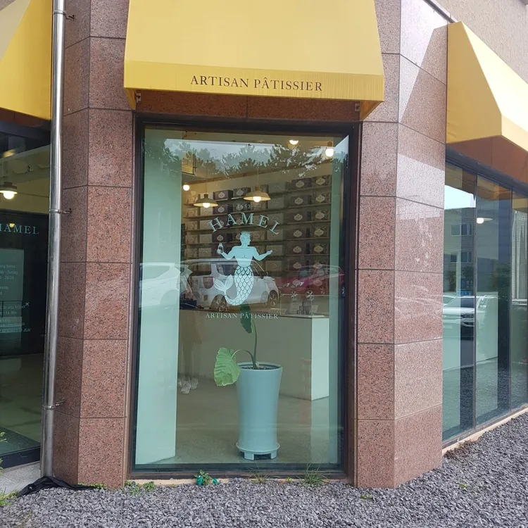 제주 하멜 사진