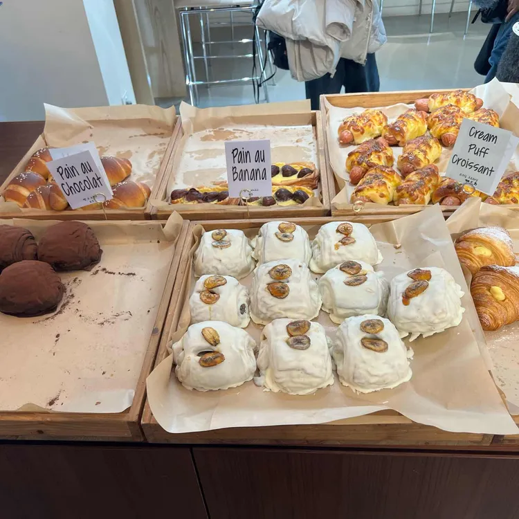 할로우 대표 사진