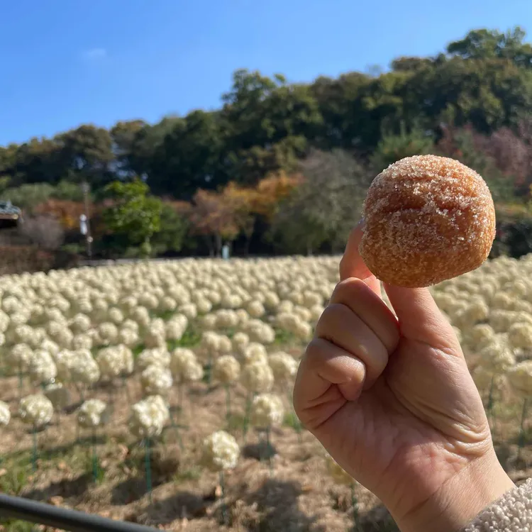 꽃분이네 꽈배기상회 대표 사진
