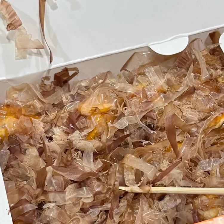 타코비 대표 사진