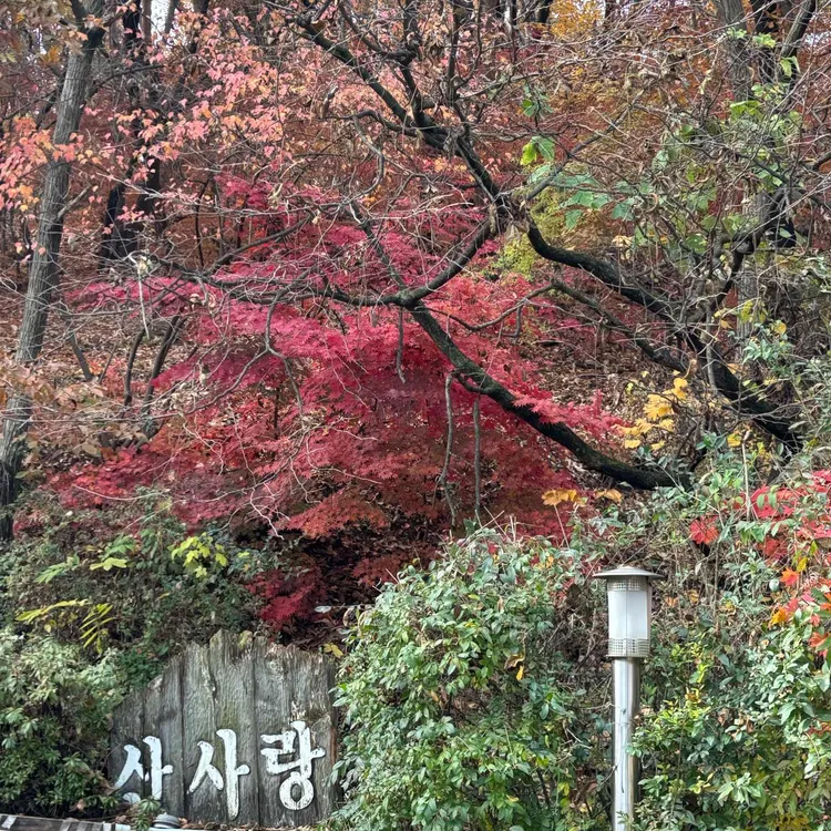 산사랑 사진 2