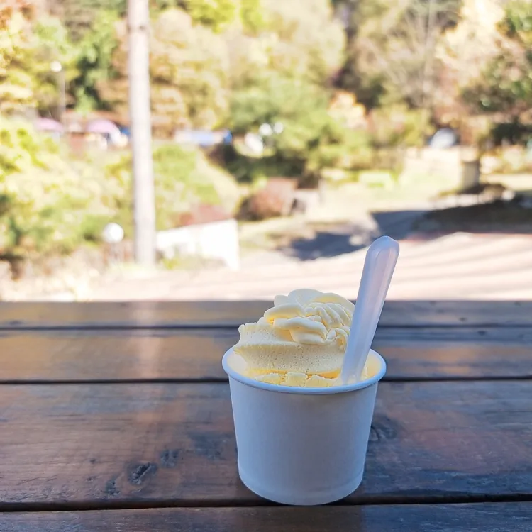 가로수 대표 사진