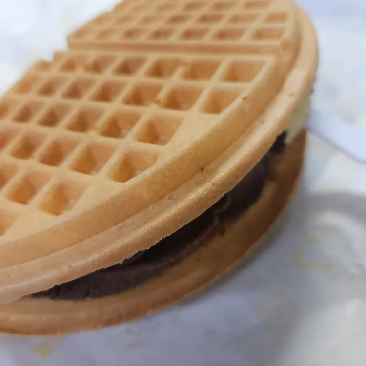 와플대학 사진 2