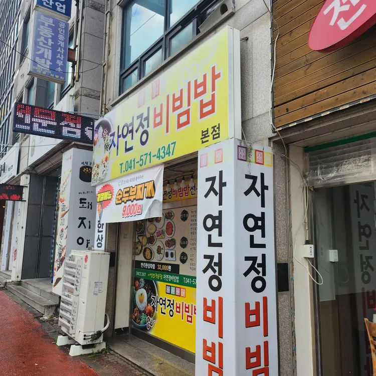 자연정 대표 사진