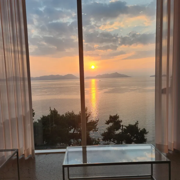 네르하21 대표 사진