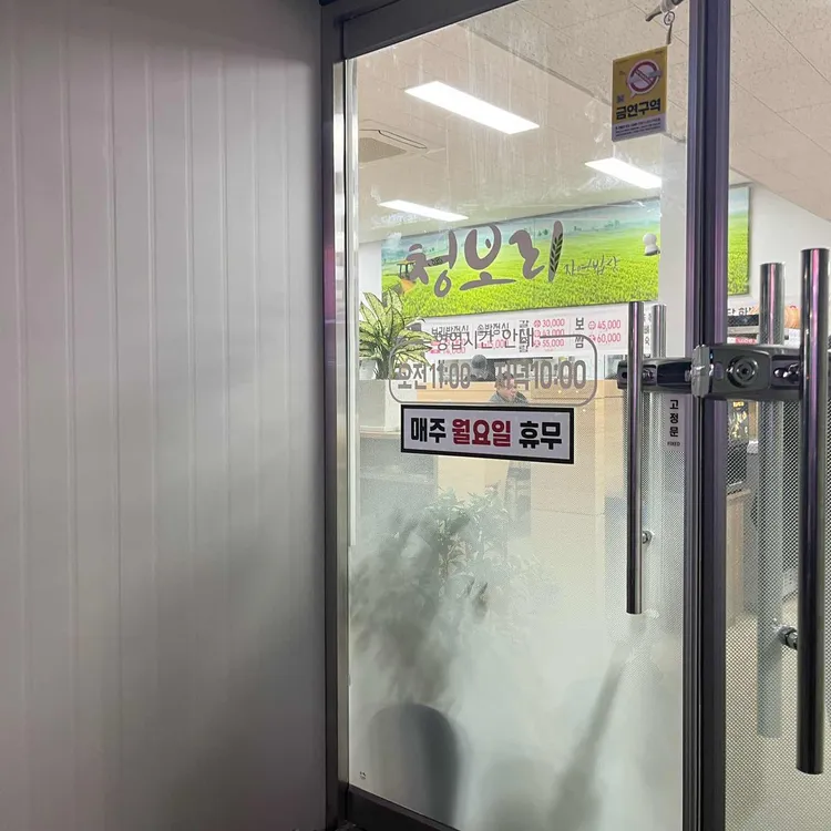 청보리 대표 사진