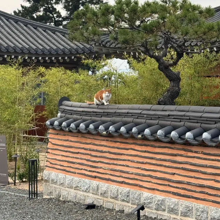경주의시간 카페라운지 대표 사진
