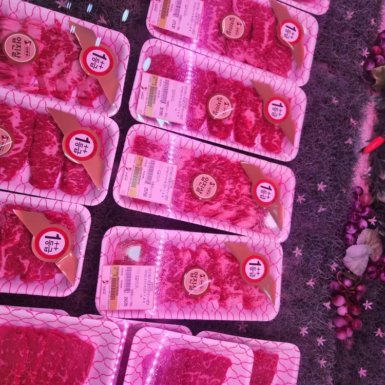 다하누 사진 1