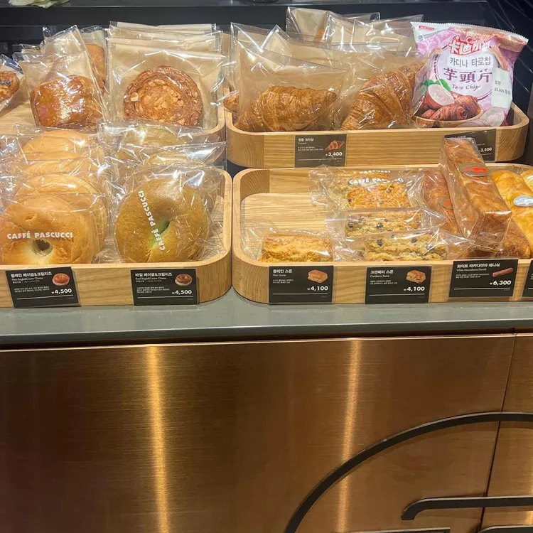 파스쿠찌 대표 사진