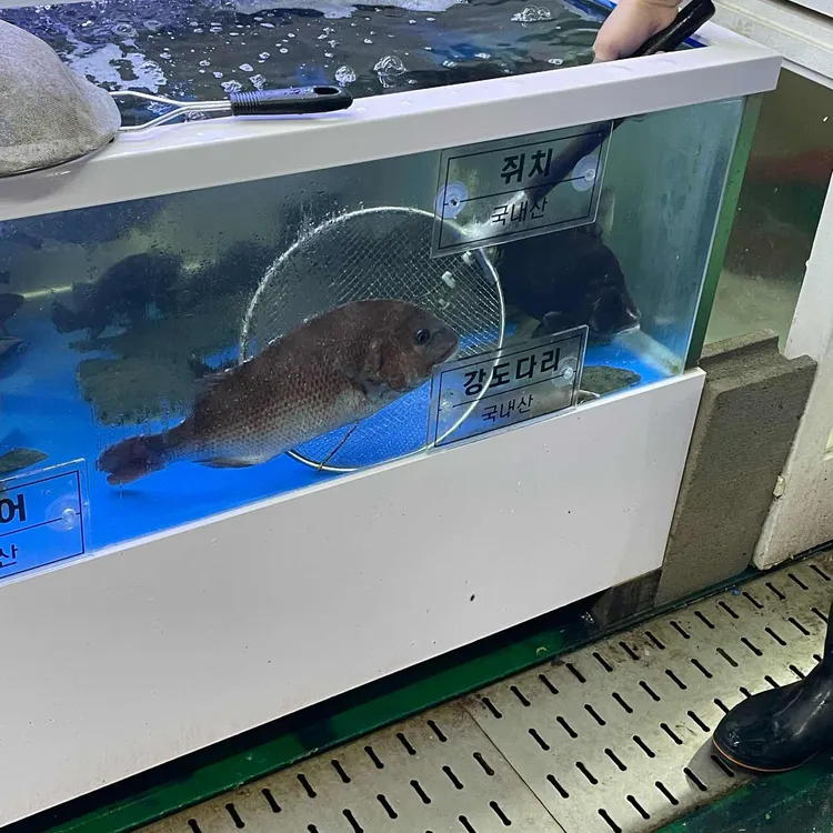 삼척대왕횟집 대표 사진