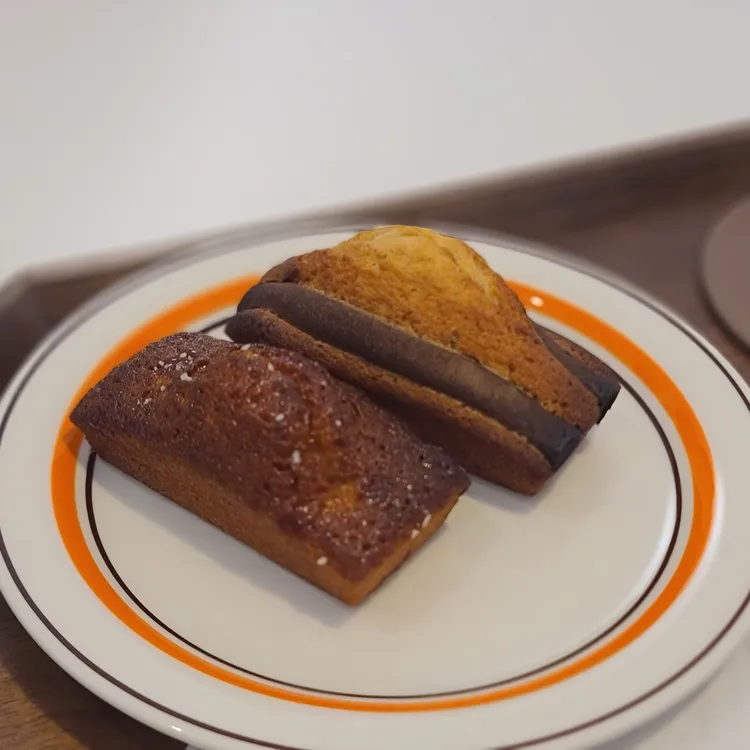 티스테드 대표 사진