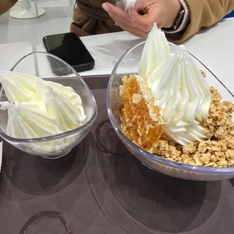 요거트아이스크림의정석 사진 1