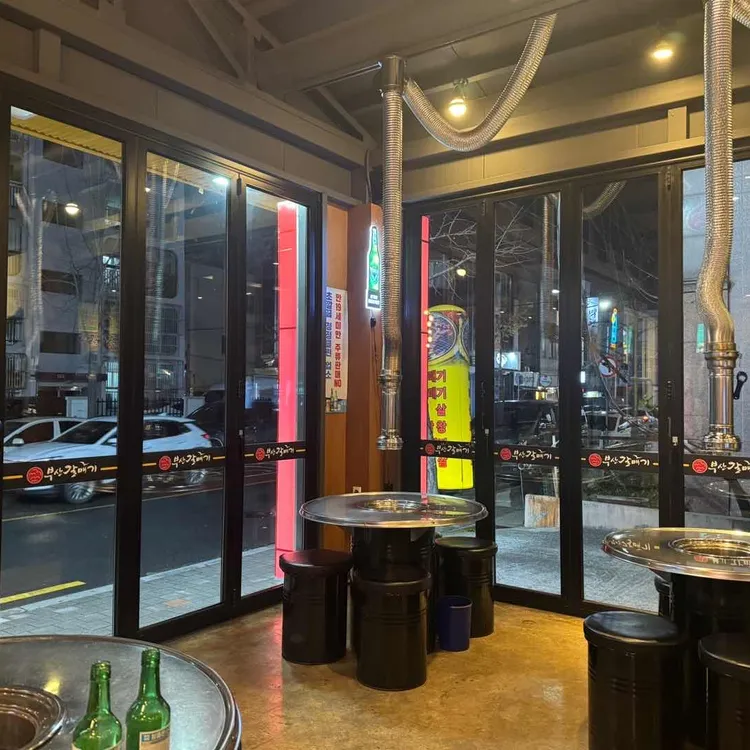부산갈매기 대표 사진