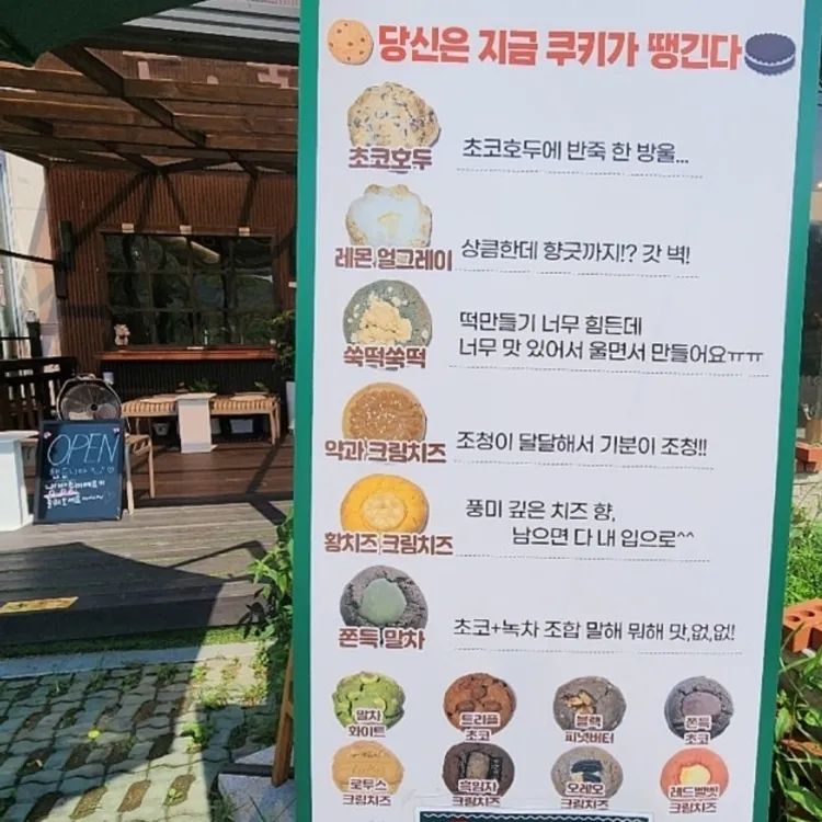 손 쿡희 대표 사진