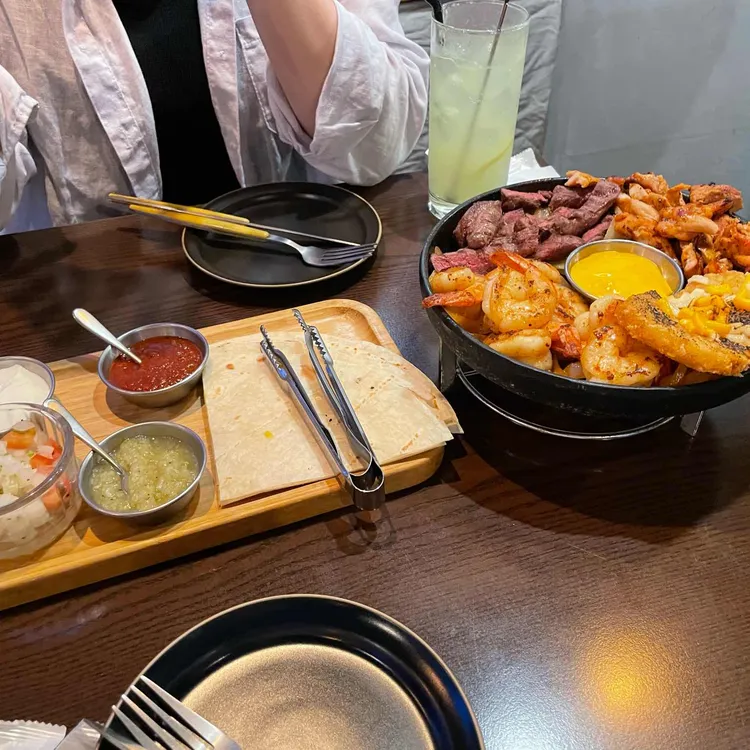 코타 대표 사진