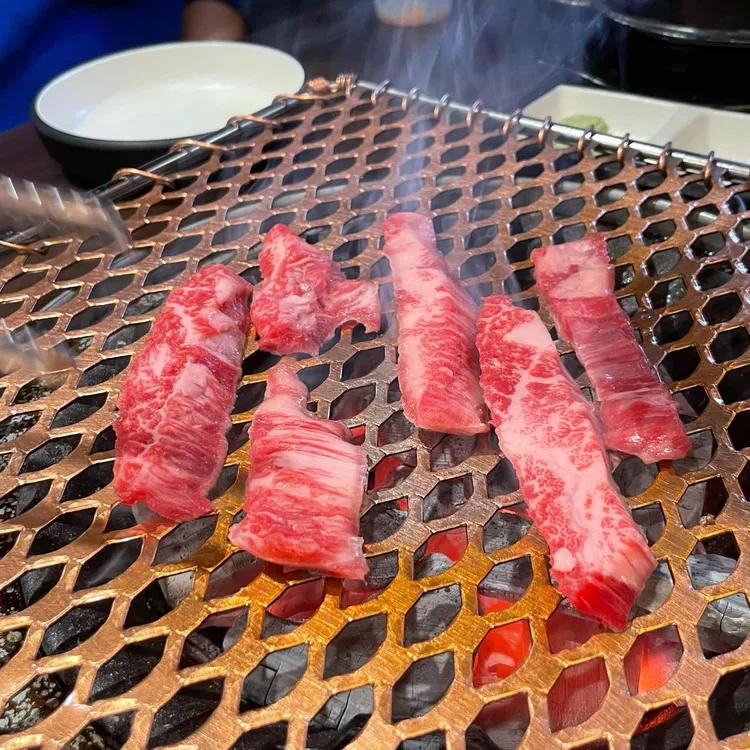 하누미 사진 1
